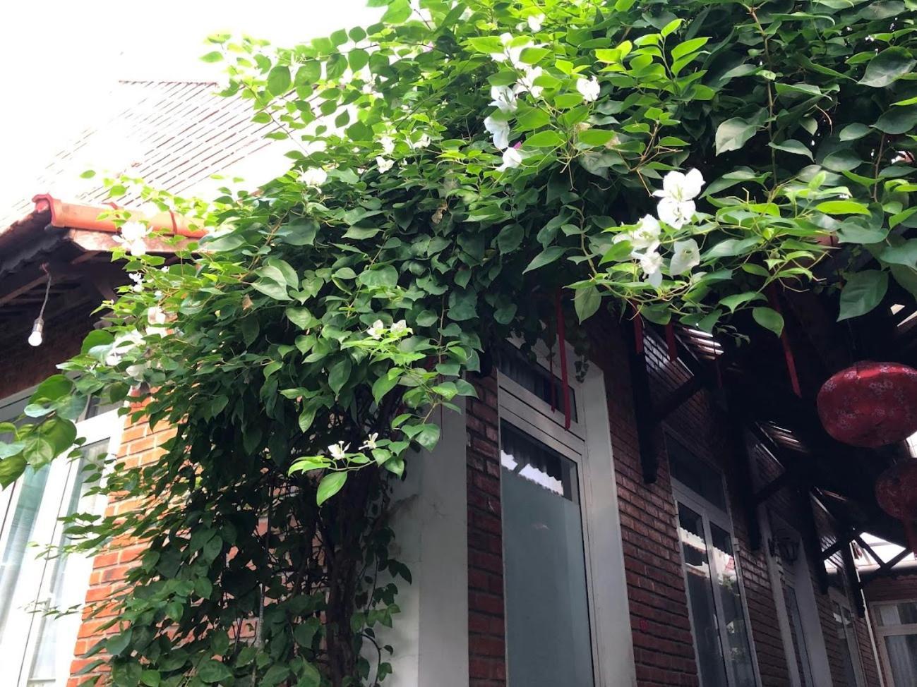 Q'Tropical Garden Homestay Hue Luaran gambar